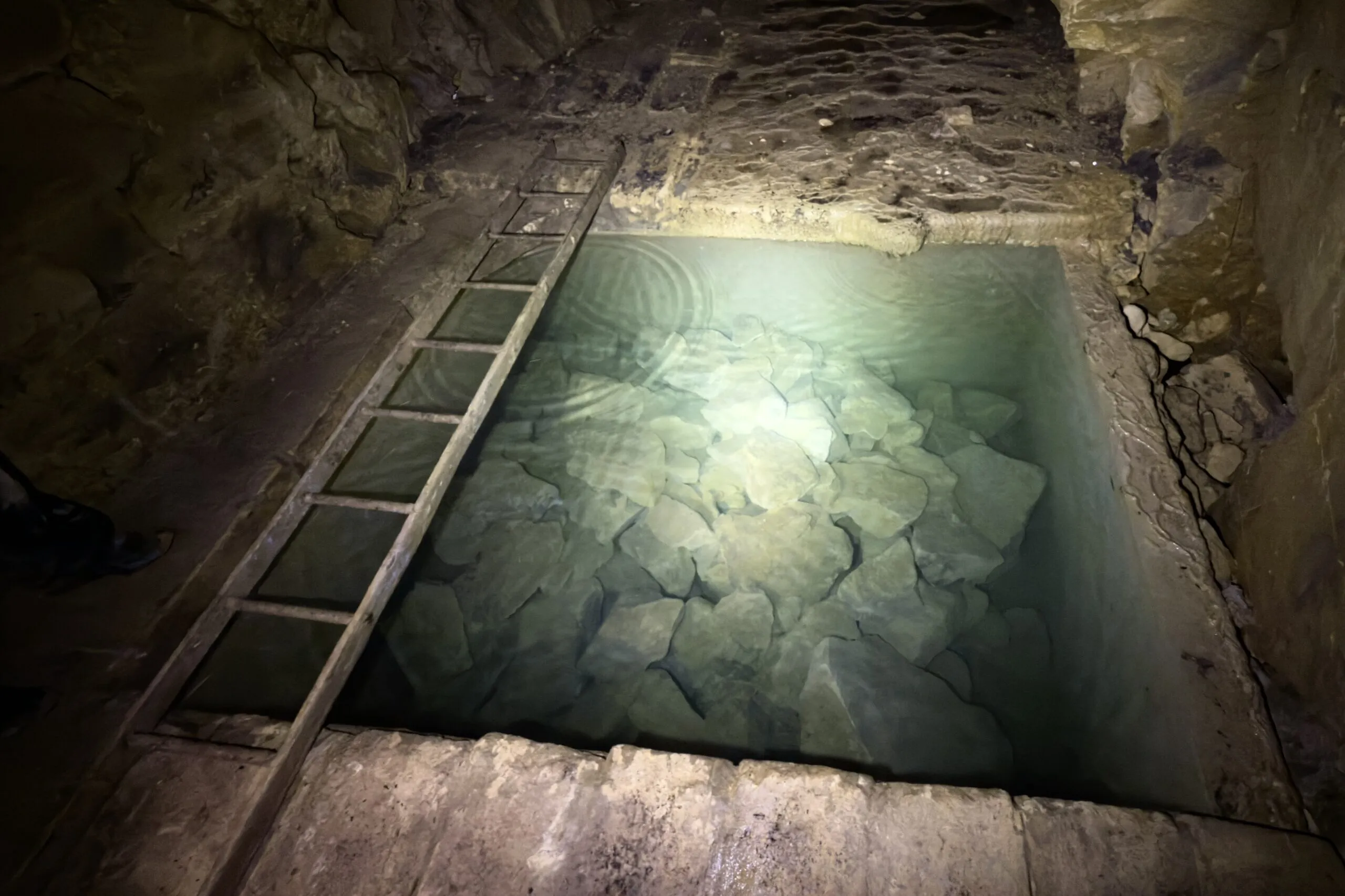 A flooded rock-cut tank, its water so clear the stone blocks on the bottom are sharp, a wooden ladder laid across one edge