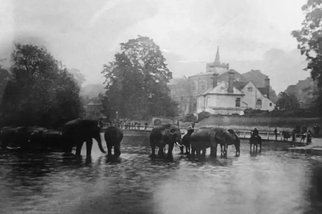 The Wandle buried and forgotten under Croydon — a river that once ran through pleasure gardens, now culverted and undocumented.
